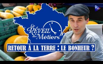 Jeune, diplômé… et paysan : mon retour aux sources – Le réveil des métiers – TVL