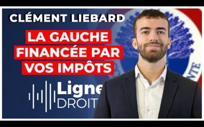 Subventions : le carburant caché de l’extrême gauche – Clément Liebard