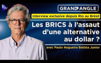 Les BRICS à l’assaut d’une alternative au dollar ? Le Grand angle avec Paulo Nogueira Batista Junior