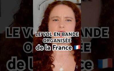 La France pillée par des mafias en bande organisée
