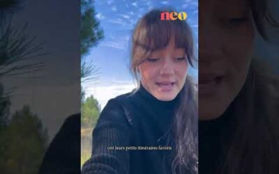 La naturaliste @manonberehouc explique ce que sont les coulées 🦔🌿