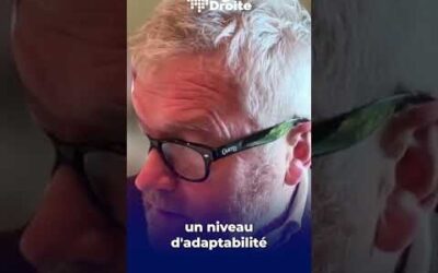 Le RN explose dans les sondages alors que tous les autres s&rsquo;effondrent ! – Jérôme Sainte-Marie