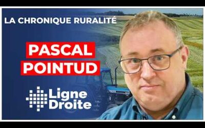Réforme électorale 2025 : la fin du vote libre dans nos villages – Pascal Pointud