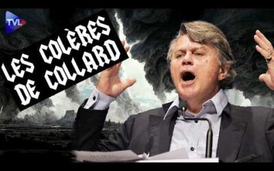 Un nombril à la place du cœur ! Les colères de Collard – TVL