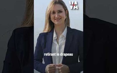 Les maires RN enlèvent le drapeau européen des mairies et ça fait réagir #shorts