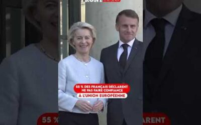 55% DES FRANÇAIS N’ONT PAS CONFIANCE DANS L’UE