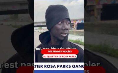 DES FEMMES SONT VI*LÉES AU QUARTIER DE ROSA PARKS