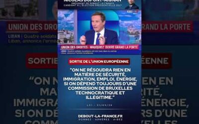 Je suis candidat pour défendre la sortie de l’Union européenne !