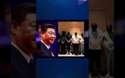 « Récemment en Chine, ils ont pendu trois pédophiles. Ce n’est pas une mauvaise idée. »
