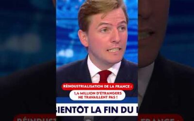 IMMIGRATION ÉCONOMIQUE : QU’ON REMETTE LES CLANDESTINS AU TRAVAIL !