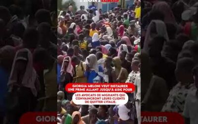 LES AVOCATS RENVOIENT LES CLANDESTINS CHEZ EUX ? UNE PRIME ! LE MODÈLE ITALIEN