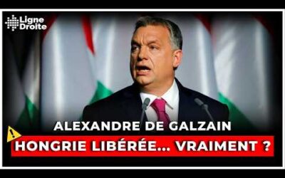 « La Hongrie est enfin libérée du fascisme ! » : le grand cirque médiatique sur Orbàn