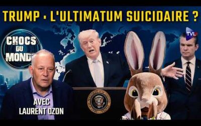 Guerres à répétition : peut-on neutraliser Israël ? Chocs du monde avec Laurent Ozon – TVL