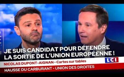 « Je suis candidat pour défendre la sortie de l’Union européenne ! » · LCI, 31/03/26