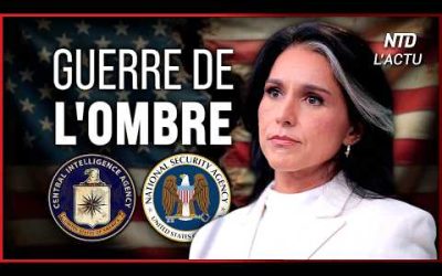 Que cache vraiment la démission de Tulsi Gabbard ?