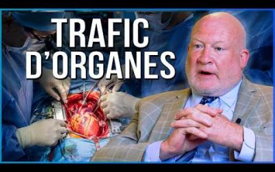 « Ils les sélectionnent en fonction de leur âge et de la qualité de leurs organes » — Ethan Gutmann