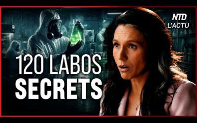 Tulsi Gabbard révèle l’existence de labos secrets financés par les USA dans 30 pays