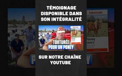 Torturée par des gitans alors qu’elle pensait vendre un poney, elle raconte