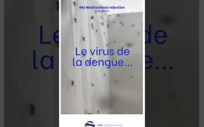 Le virus de la Dengue et le rôle sentinelle du CNR des Arbovirus – Unité des Virus Emergents