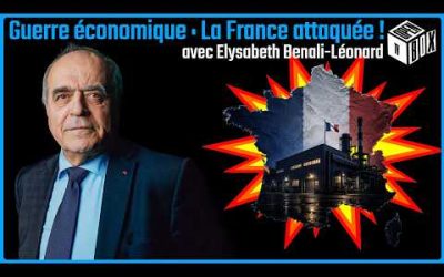 Guerre économique : La France attaquée ! – Elysabeth Benali-Léonard – OPEN BOX TV