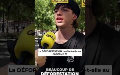 La DÉFORESTATION profite-t-elle au SYSTÈME ?!