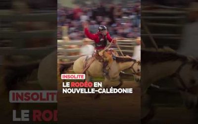 Le rodéo en Nouvelle-Calédonie !