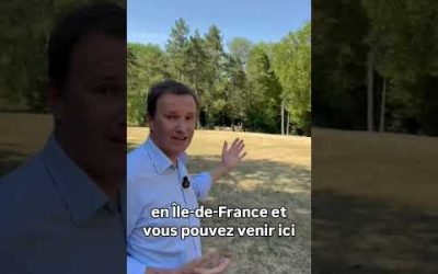Île Panchout à Yerres : ouverte tout l’été à partir de 7h du matin.