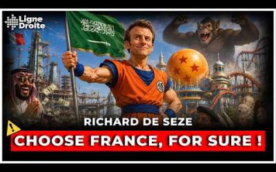 Le délire de Macron : un parc Dragon Ball à 6 milliards avec les Saoudiens – Richard de Seze