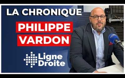 Démographie : en 2045, majorité des naissances d’origine non européenne – Philippe Vardon