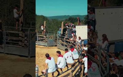 Ça ressemble à quoi, une feria catholique en Ariège ?