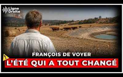 Canicule, sécheresse et incendies : la France au pied du mur – François de Voyer