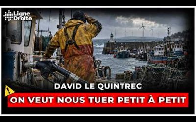 Prix du gazole : les pêcheurs artisans au bord de l’asphyxie – David Le Quintrec
