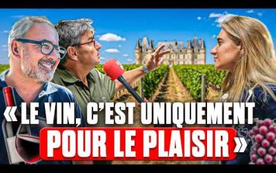 Le vin, une histoire d’amour : les vignerons nous racontent