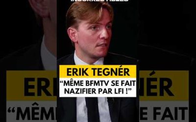 ERIK TEGNÉR : « MÊME BFMTV SE FAIT NAZIFIER PAR LFI ! »