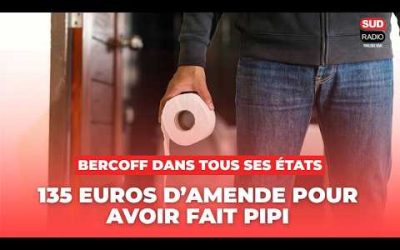 135 euros d’amende pour avoir fait pipi